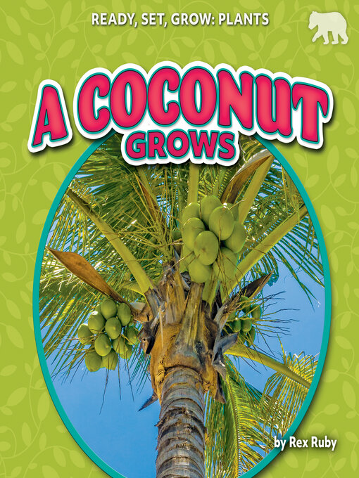 Cover image for A Coconut Grows